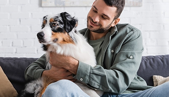 Healthy Dog Treats