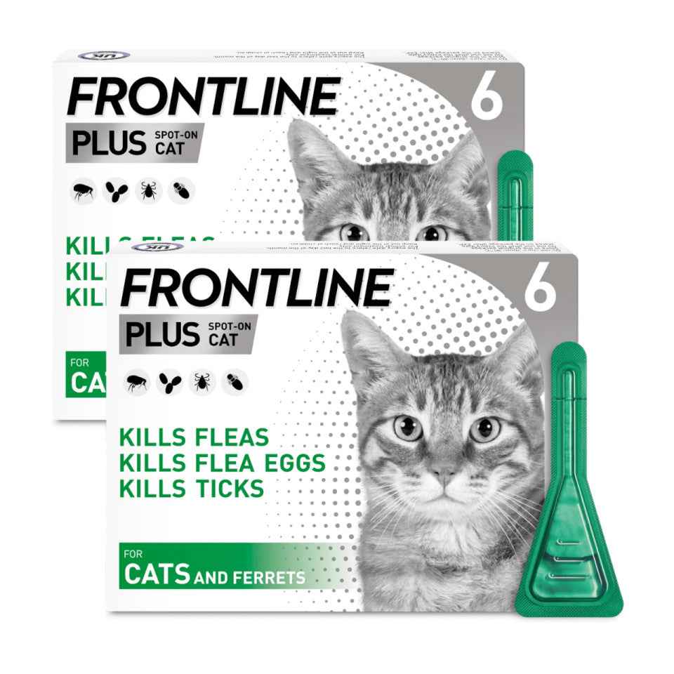 Frontline Plus for Cats