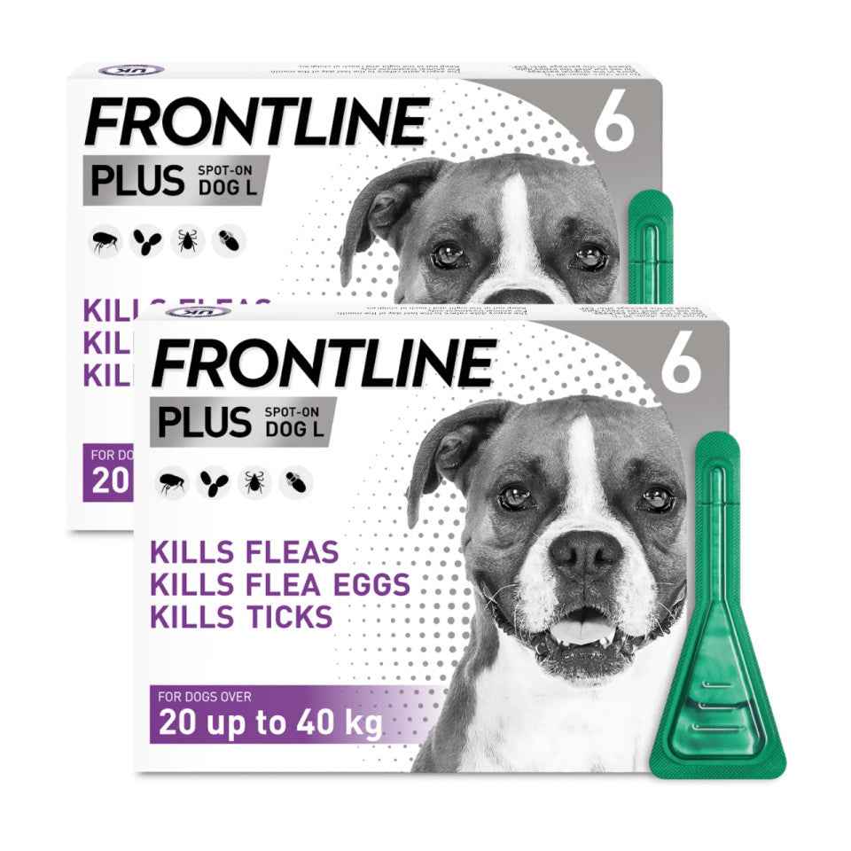 FrontLine Plus for Dogs