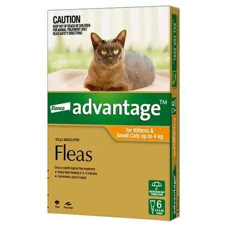 Advantage for Cats