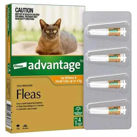 Advantage for Cats