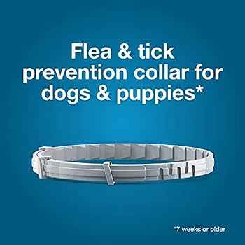 Seresto Flea & Tick Collar for Dogs