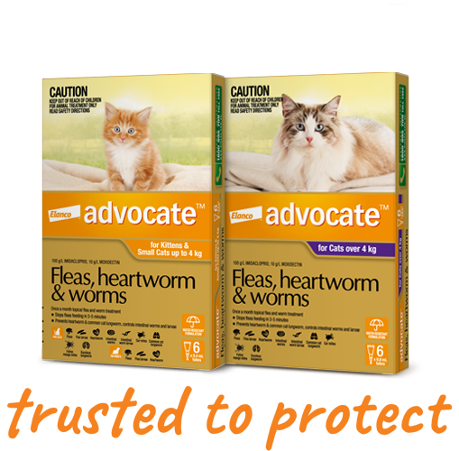 Advantage Advocate for Cats