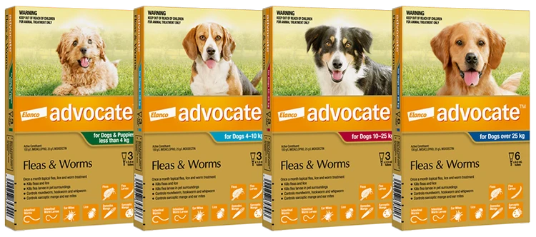 Advantage Advocate for Dogs