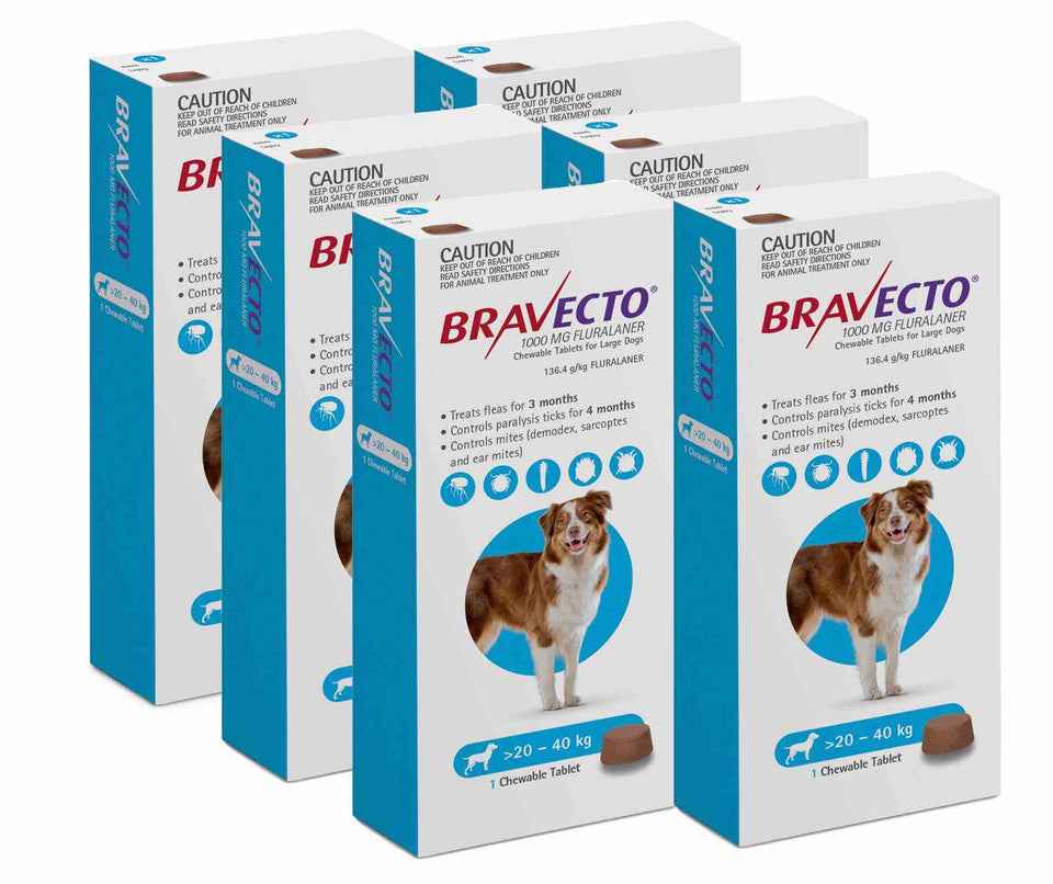 Bravecto for Dogs