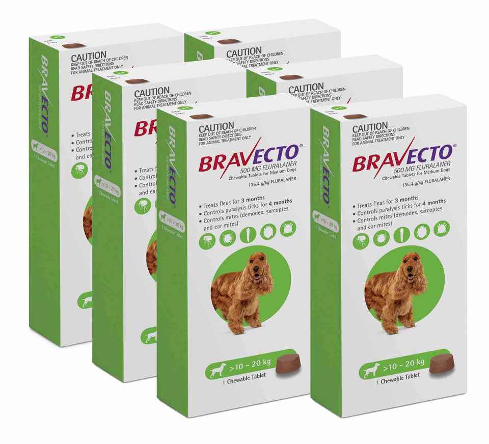 Bravecto for Dogs