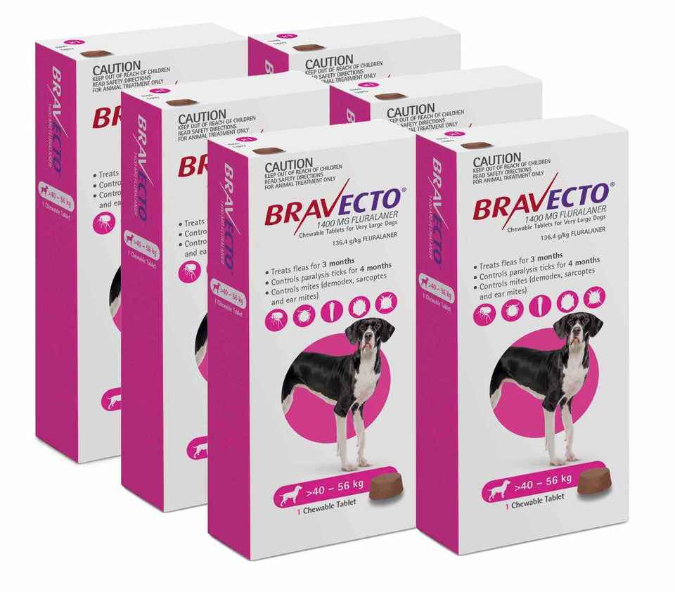 Bravecto for Dogs