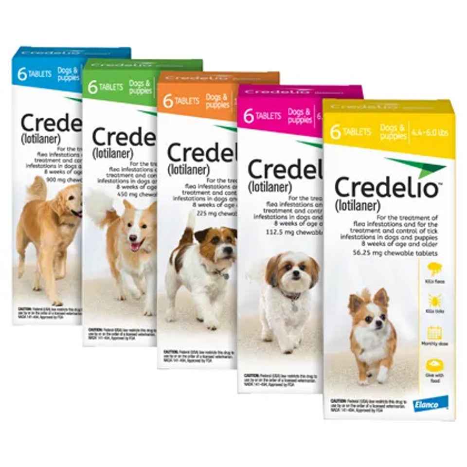 Credelio for Dogs