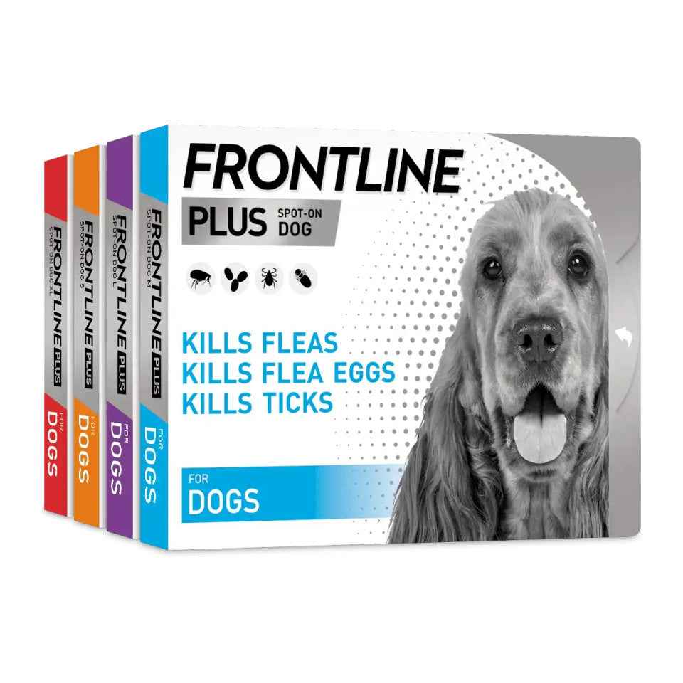 FrontLine Plus for Dogs