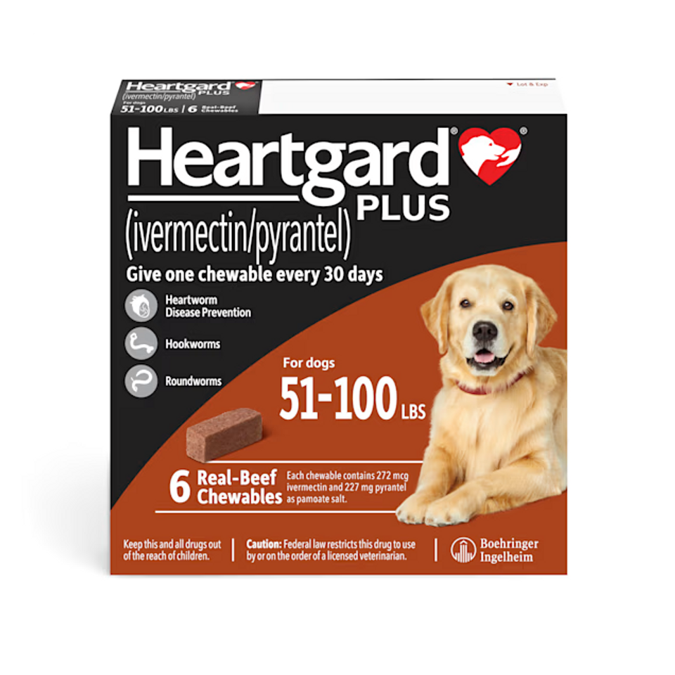 Heartgard Plus for Dogs
- Heartgard Plus for Dogs