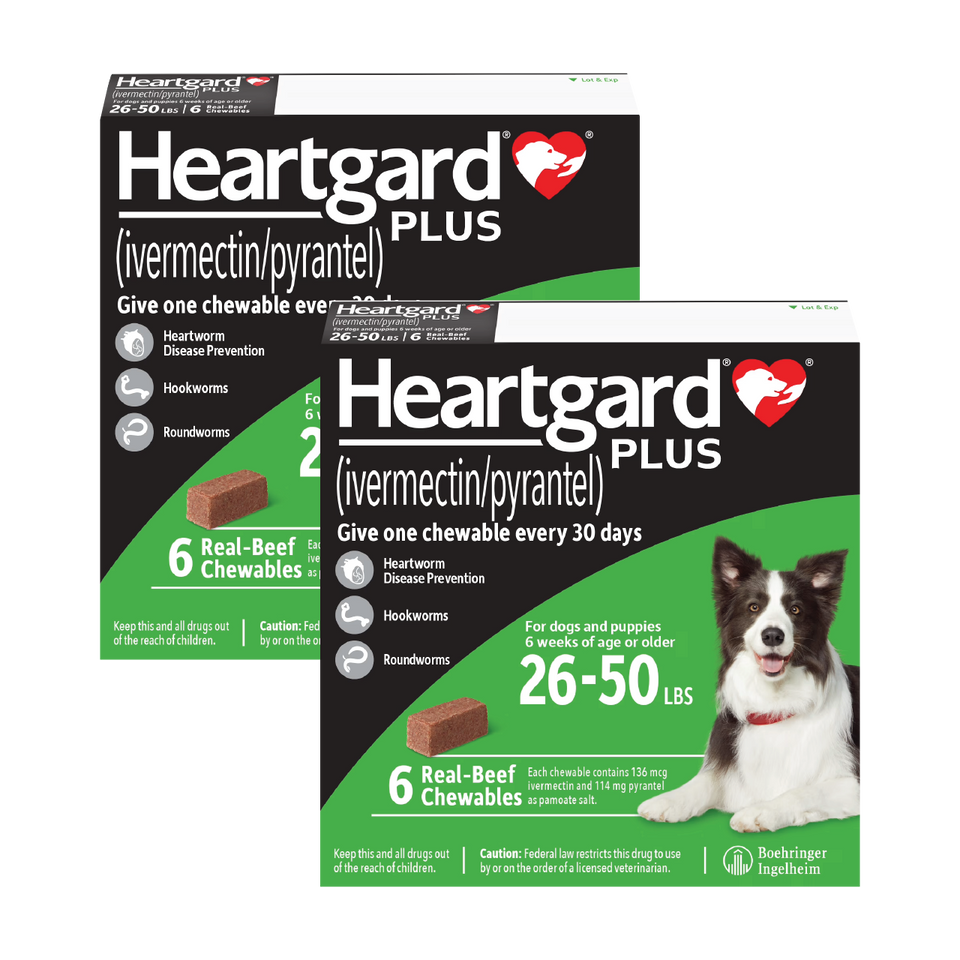 Heartgard Plus for Dogs
- Heartgard Plus for Dogs