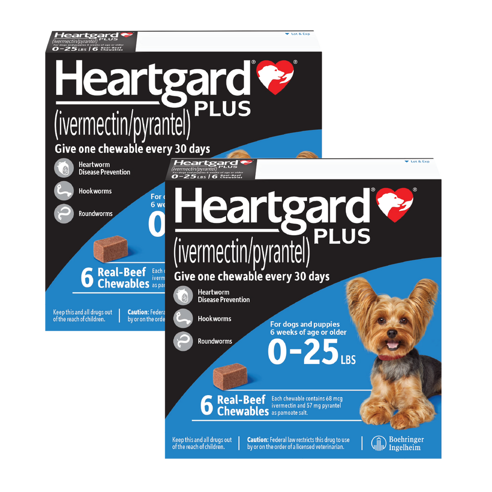 Heartgard Plus for Dogs
- Heartgard Plus for Dogs