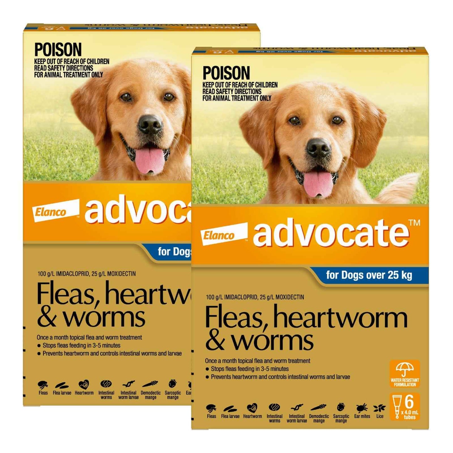 Advantage Advocate for Dogs
