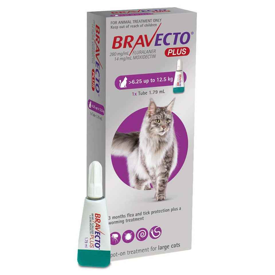 Bravecto Plus for Cats