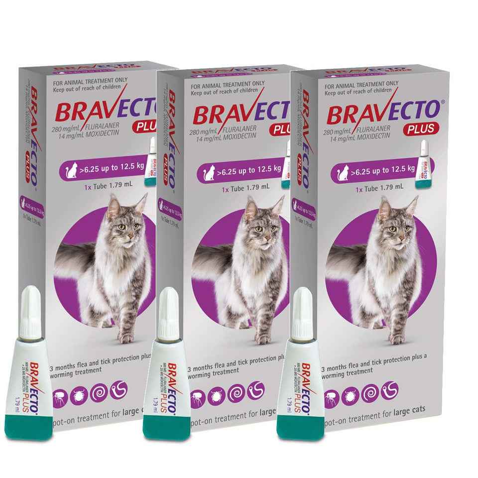 Bravecto Plus for Cats