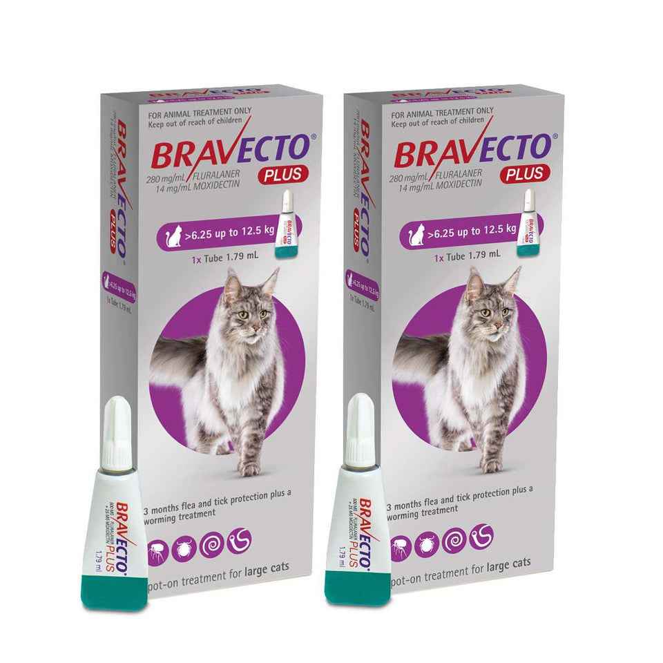 Bravecto Plus for Cats