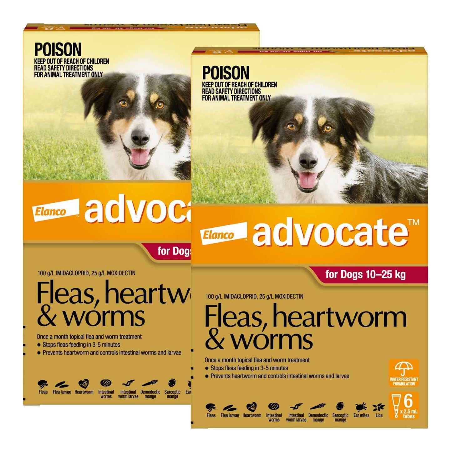 Advantage Advocate for Dogs