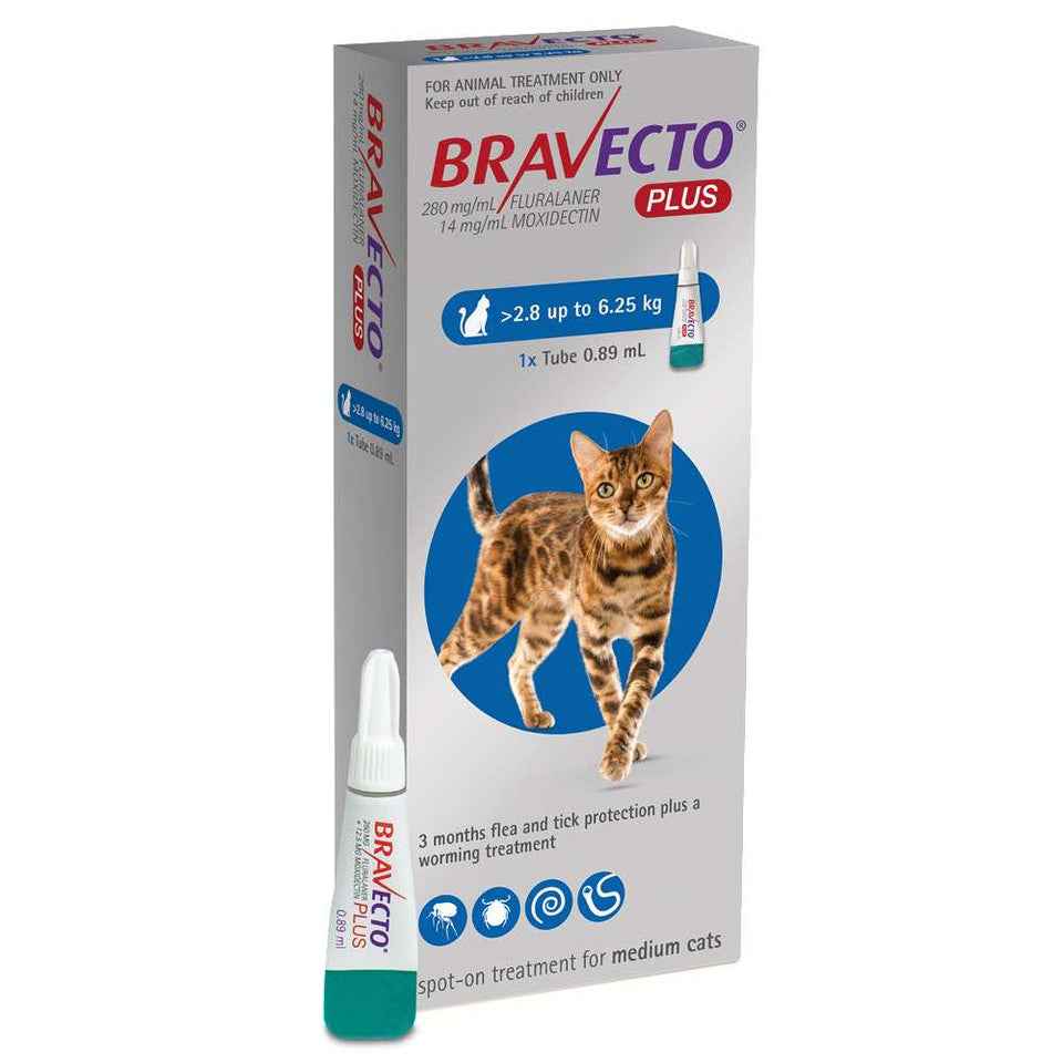 Bravecto Plus for Cats