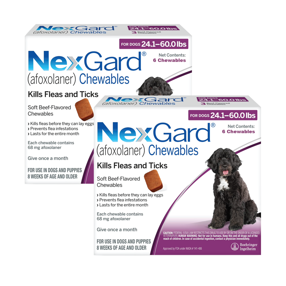 Nexgard for Dogs
- Nexgard for Dogs