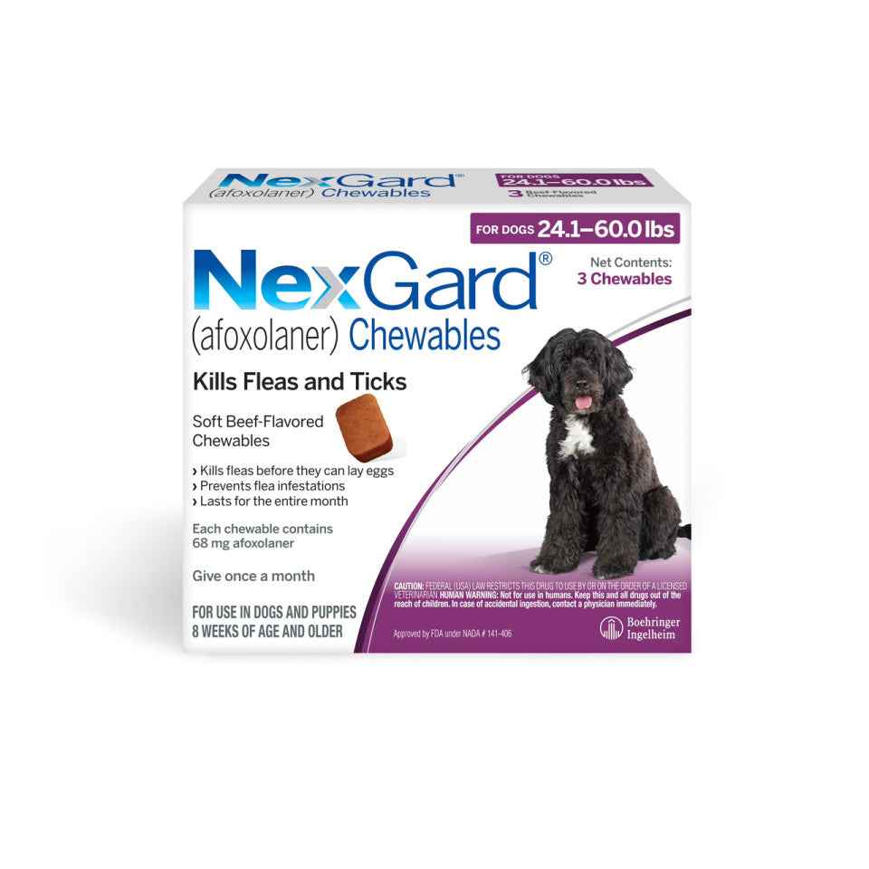 Nexgard for Dogs