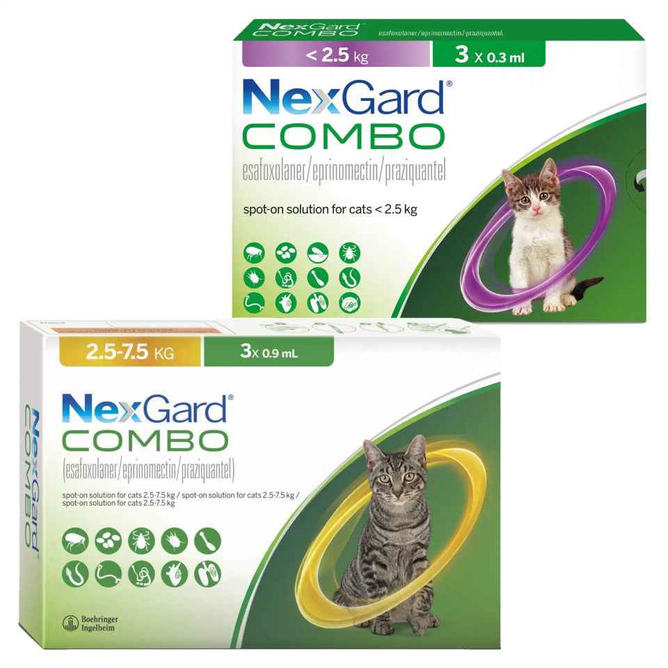 Nexgard Combo for Cats