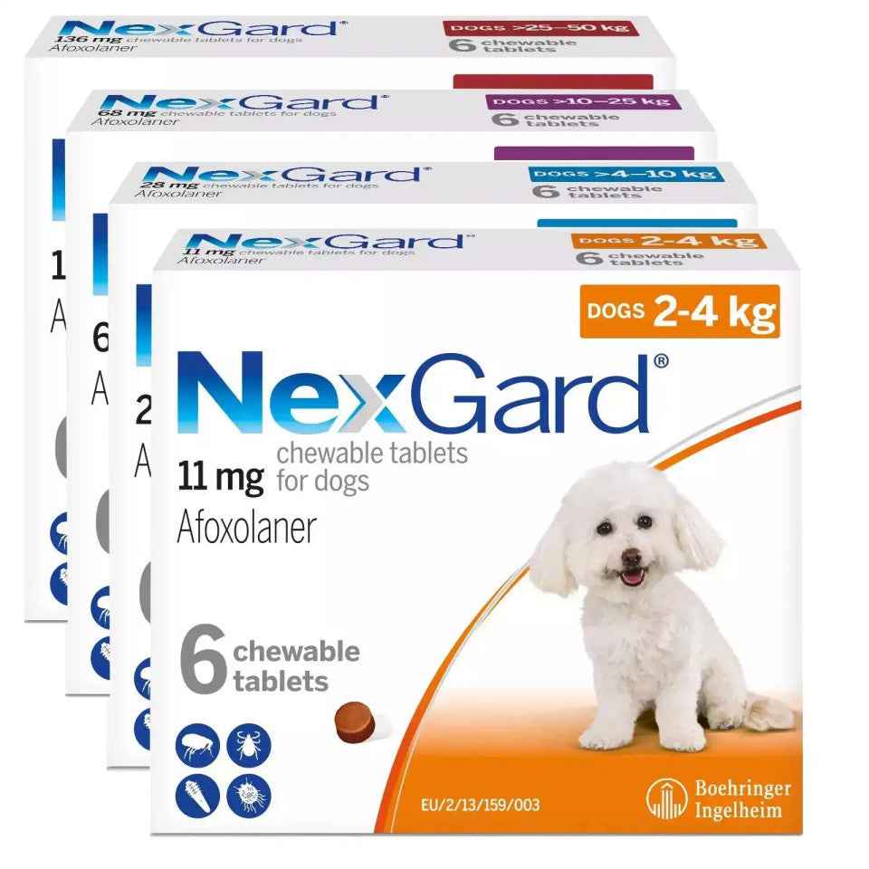 Nexgard for Dogs