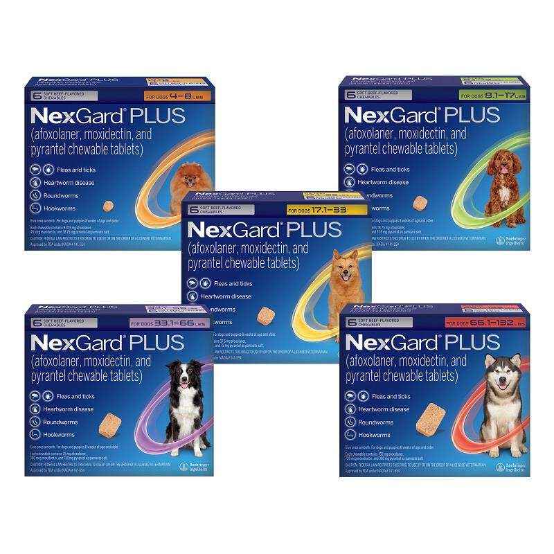 Nexgard Plus