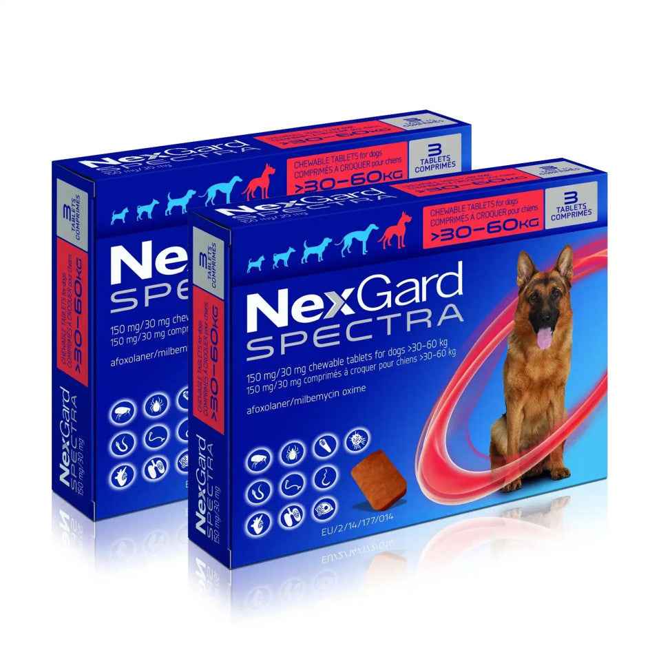 Nexgard Spectra