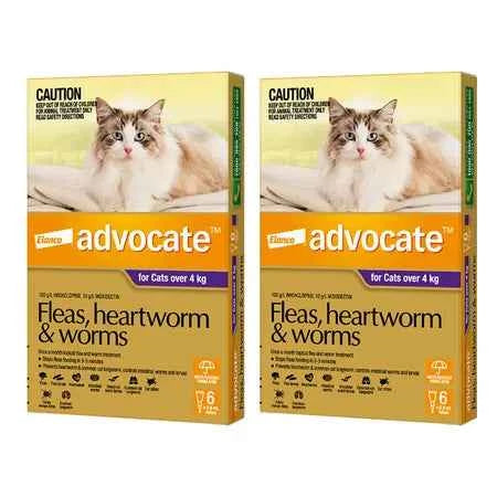 Advantage Advocate for Cats