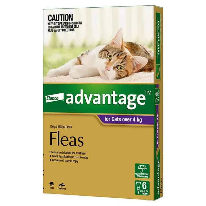 Advantage for Cats