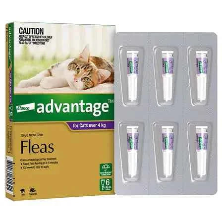 Advantage for Cats