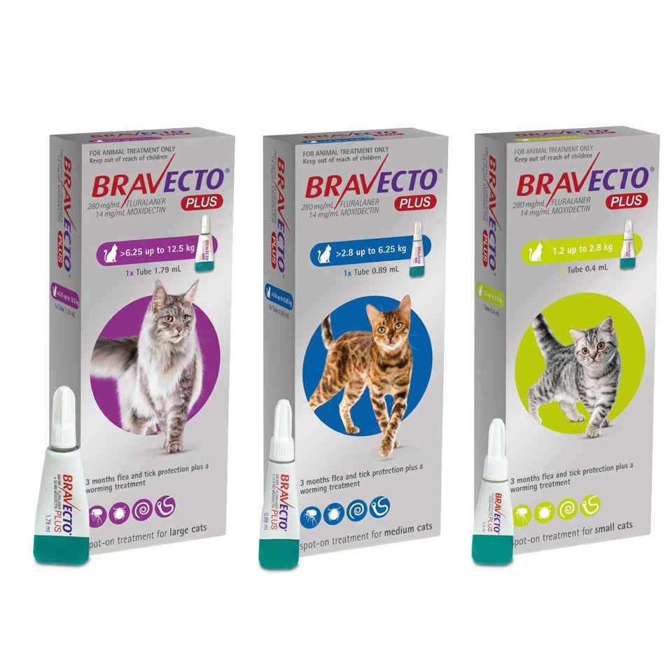 Bravecto Plus for Cats