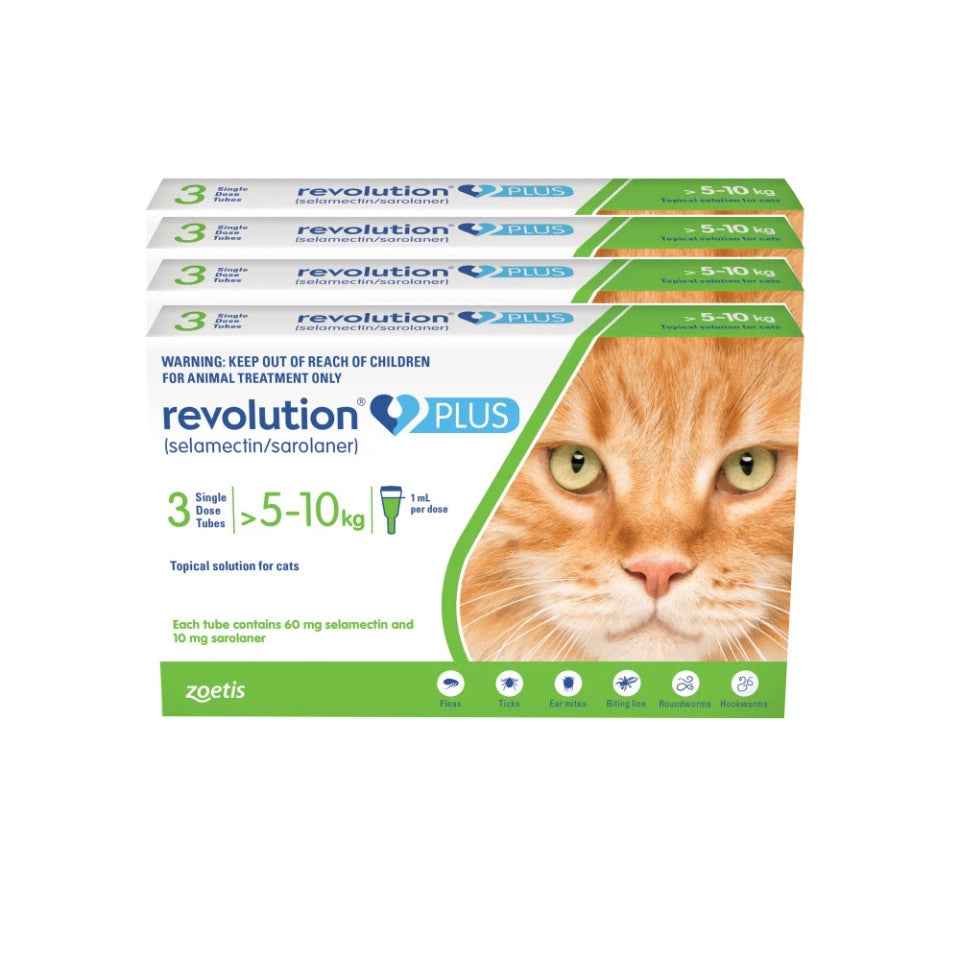 Revolution Plus for Cats