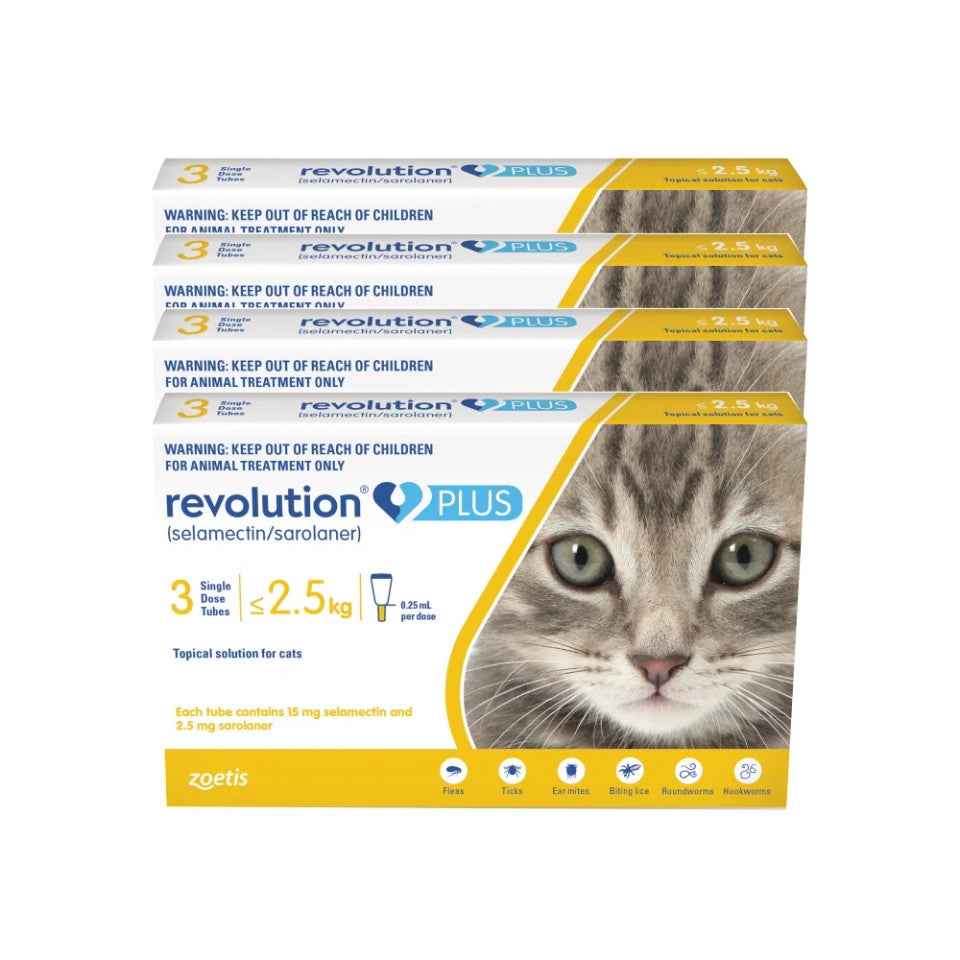 Revolution Plus for Cats