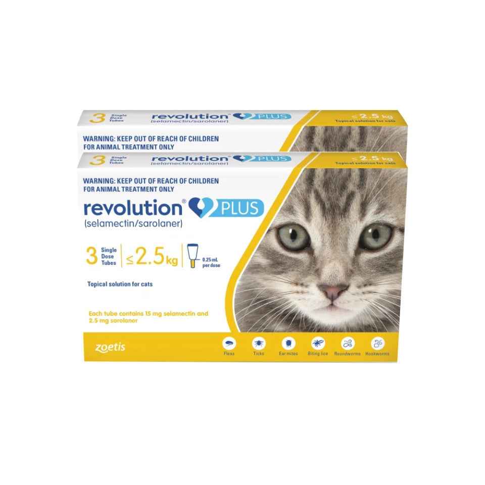 Revolution Plus for Cats