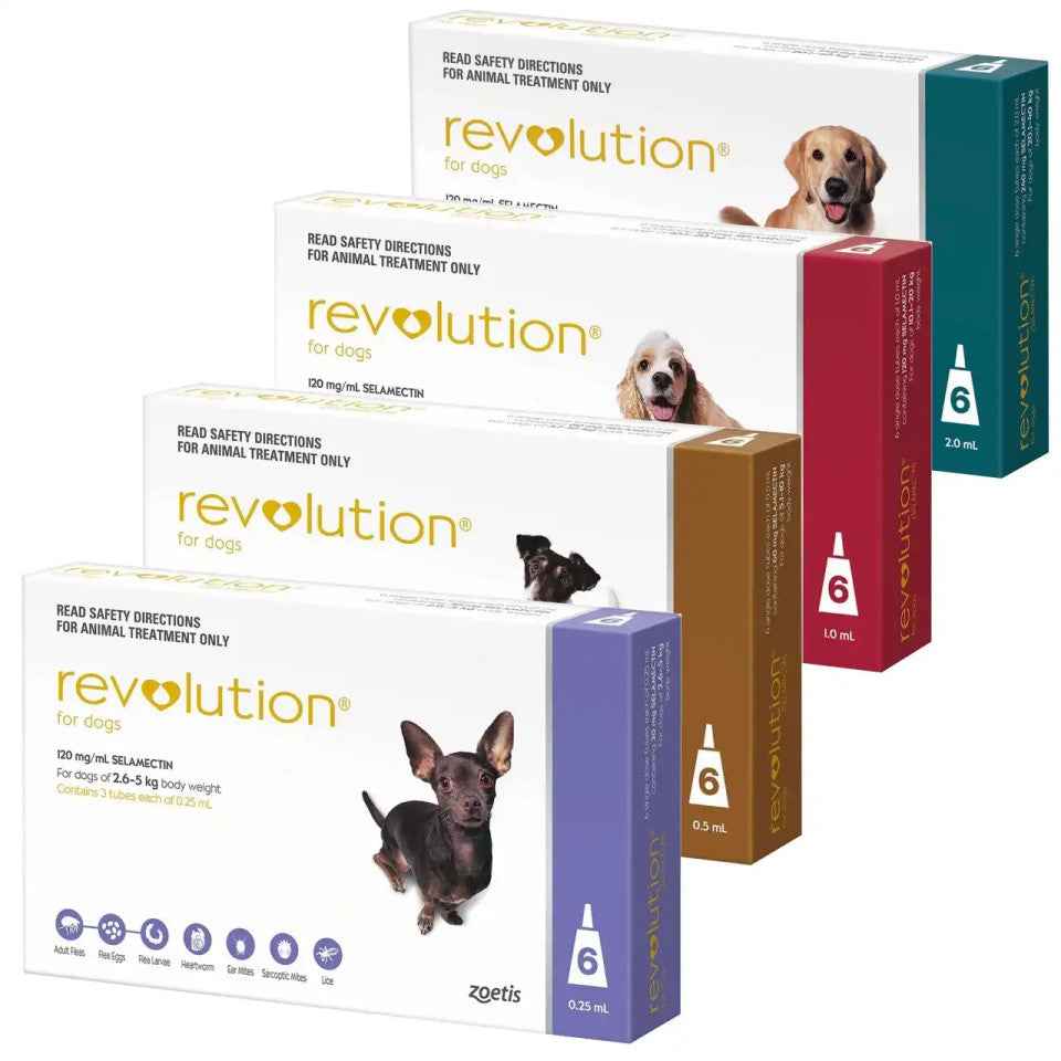 Revolution for Dogs