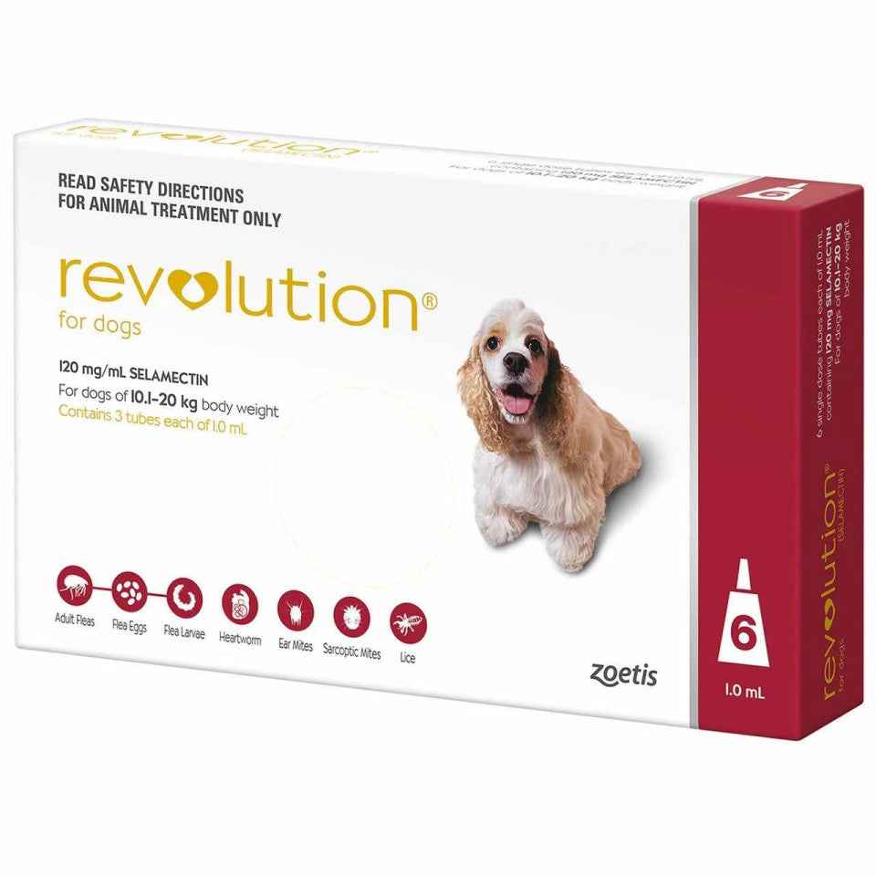 Revolution for Dogs