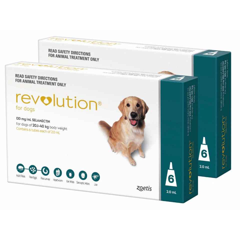 Revolution for Dogs
