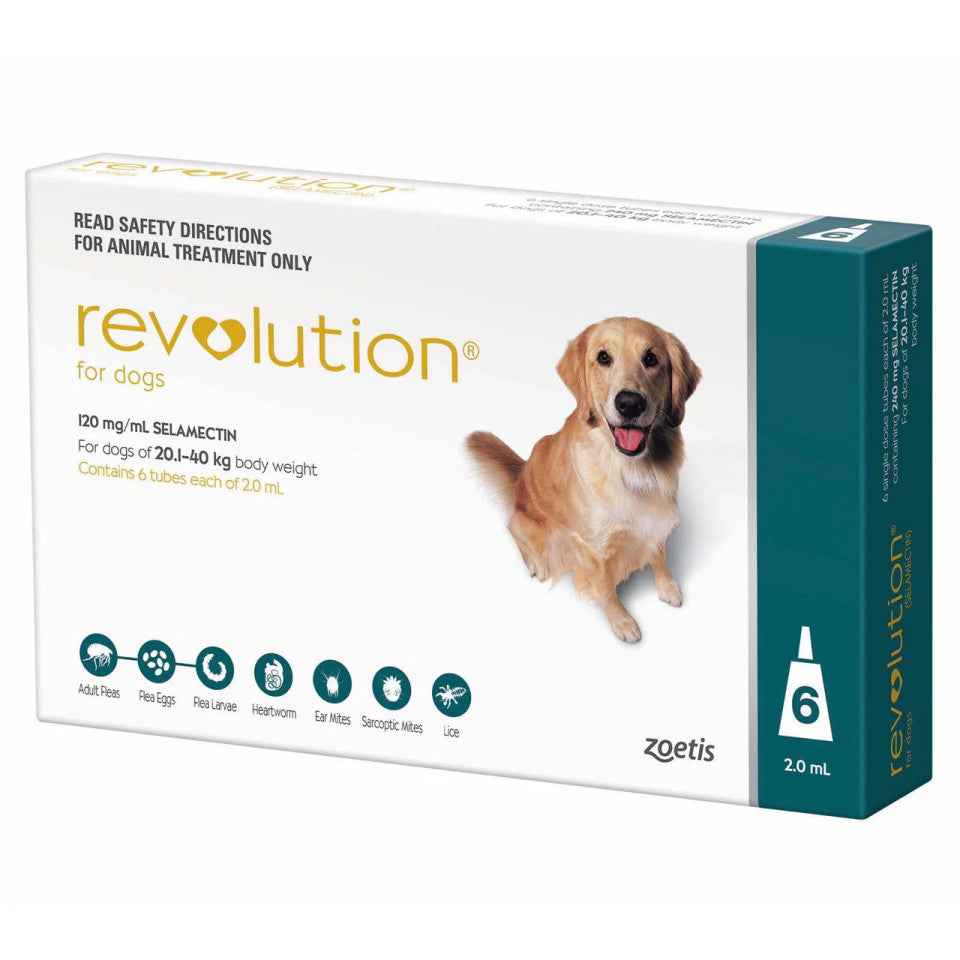Revolution for Dogs