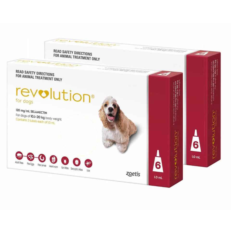 Revolution for Dogs
