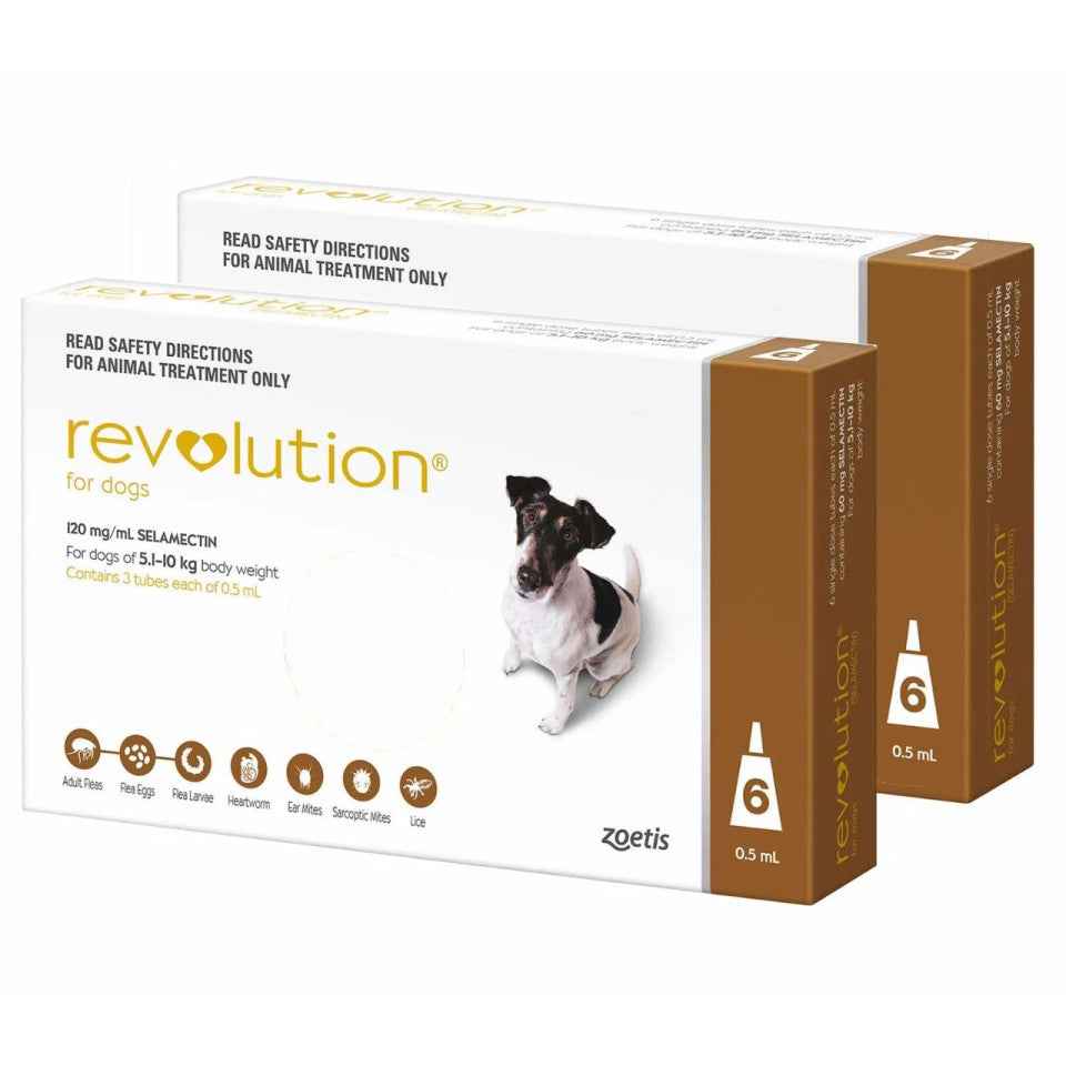 Revolution for Dogs