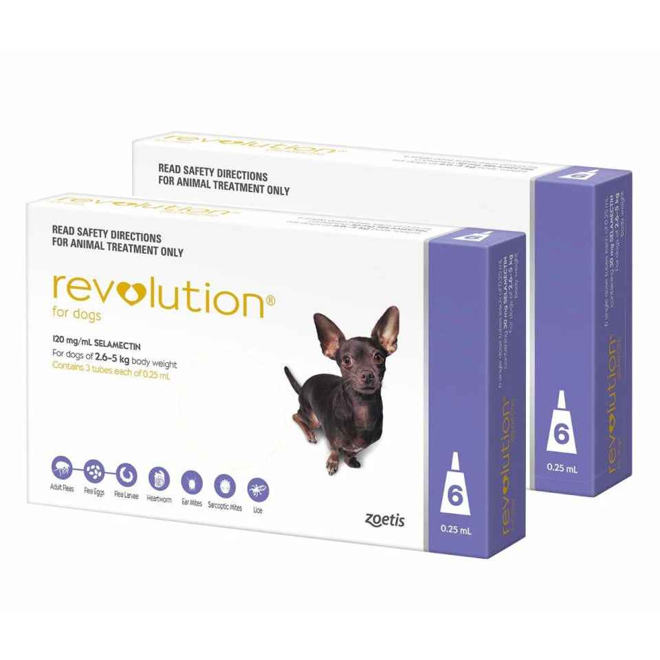 Revolution for Dogs