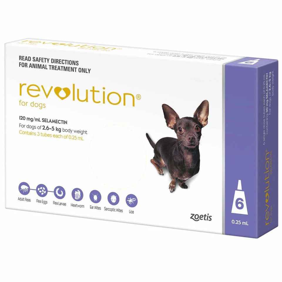 Revolution for Dogs