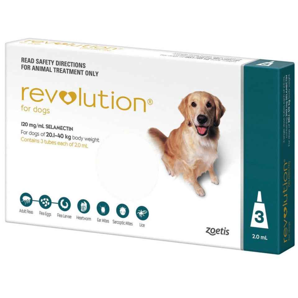 Revolution for Dogs