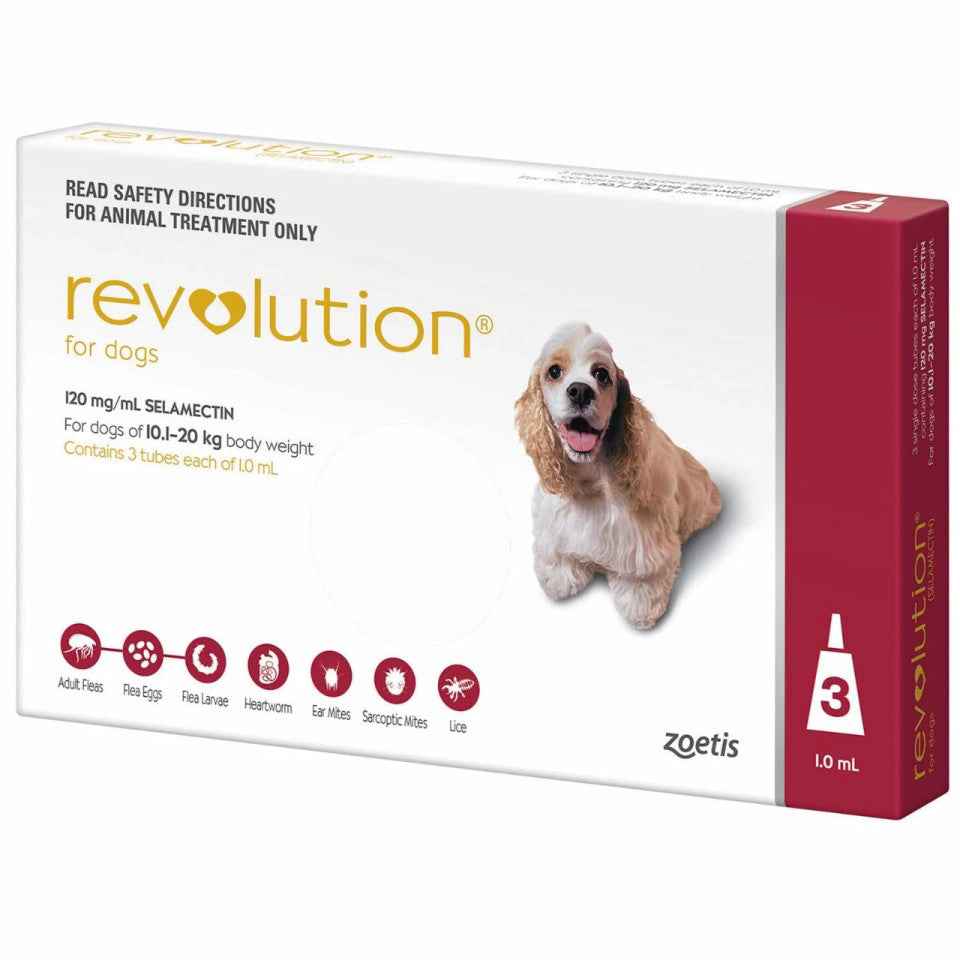Revolution for Dogs