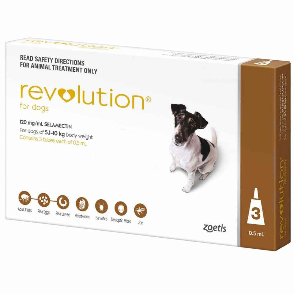 Revolution for Dogs
