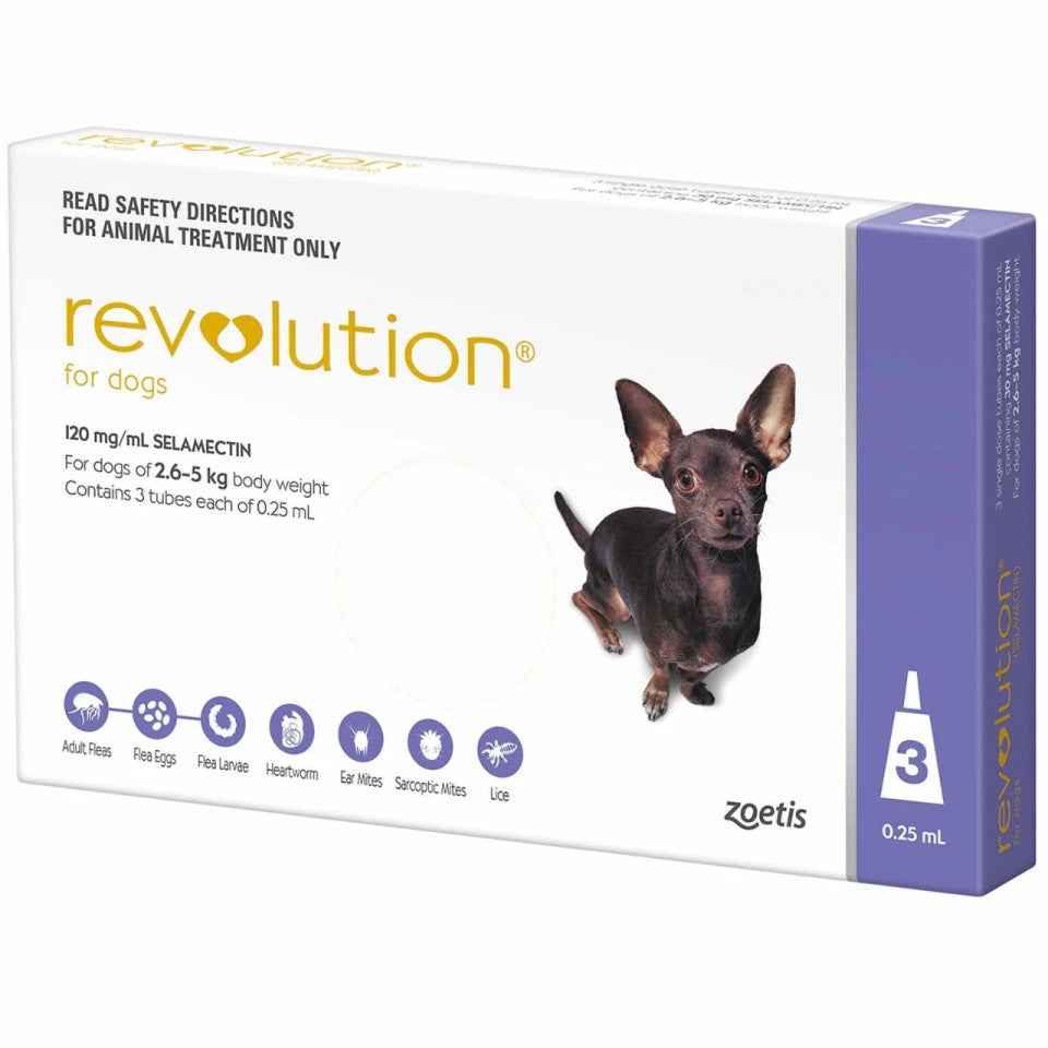Revolution for Dogs