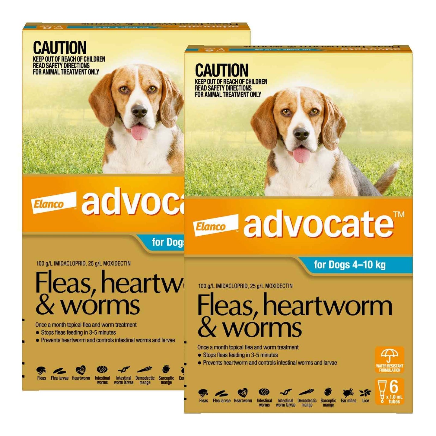 Advantage Advocate for Dogs