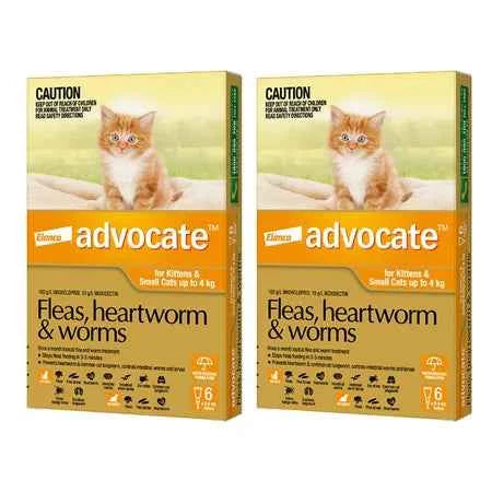 Advantage Advocate for Cats