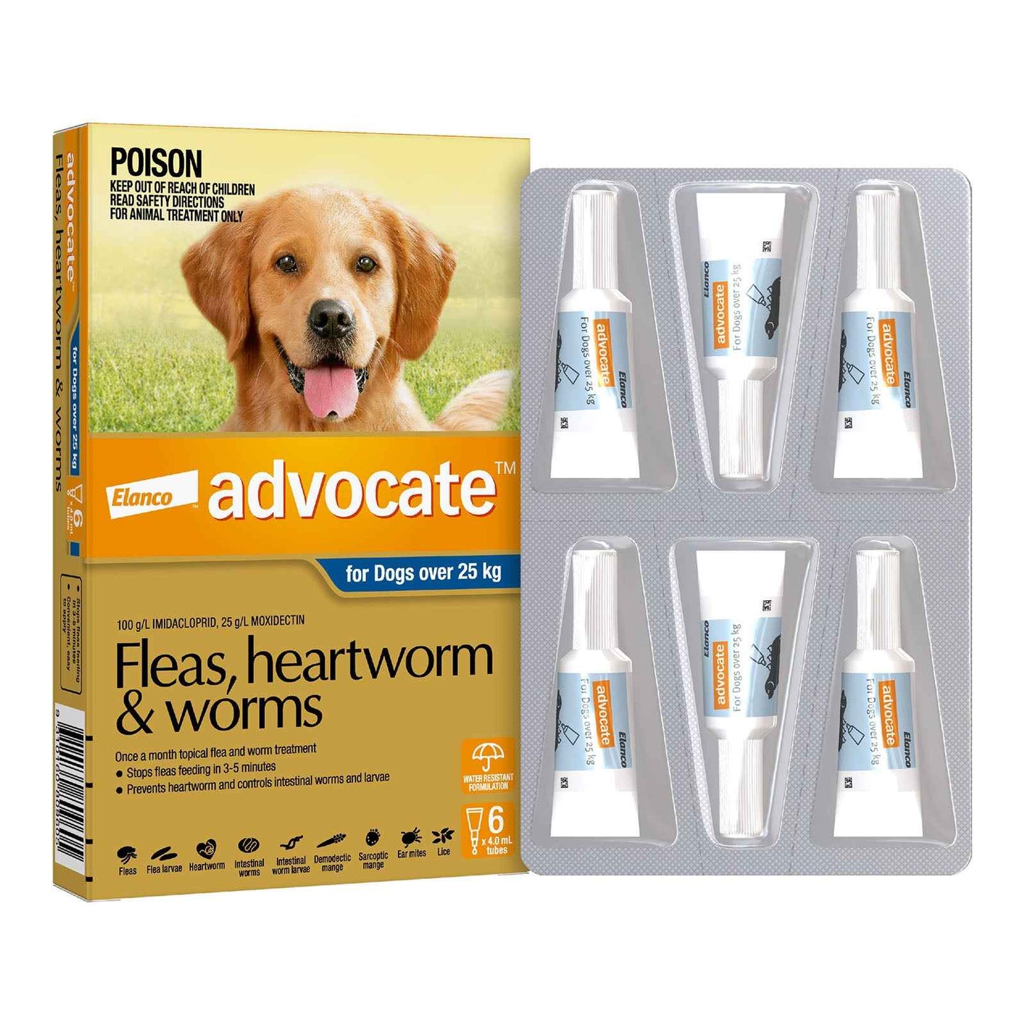 Advantage Advocate for Dogs